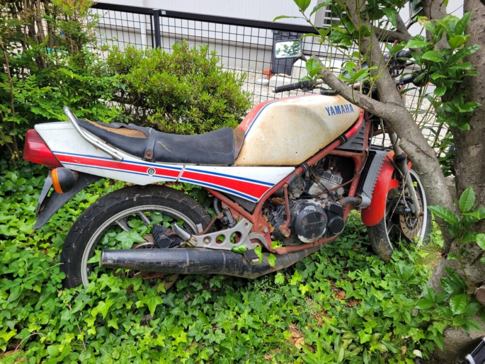 RZ250R