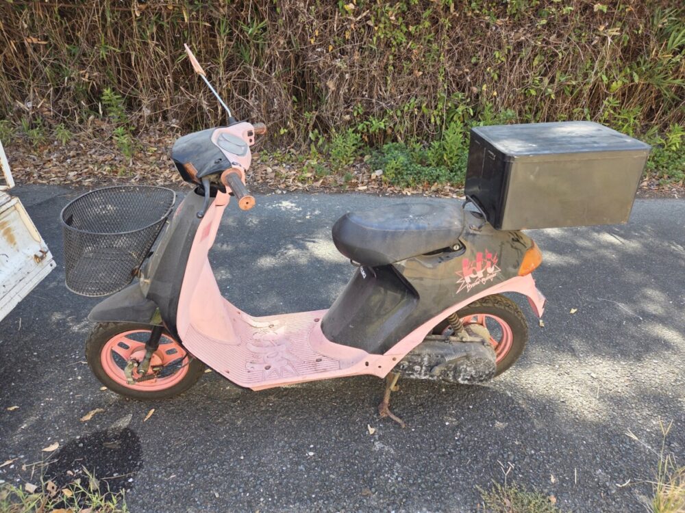 ハイ５０